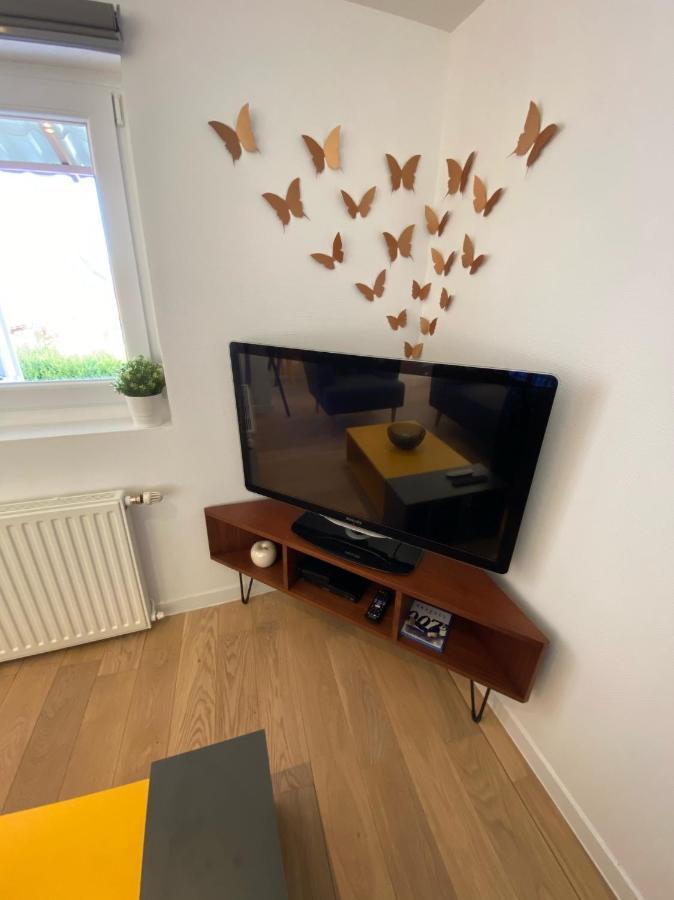Duplex Le 12 - Appartement Avec Terrasse Dans Le Vignoble - 5 Mn Du Centre De Colmar 韦托尔塞姆 外观 照片
