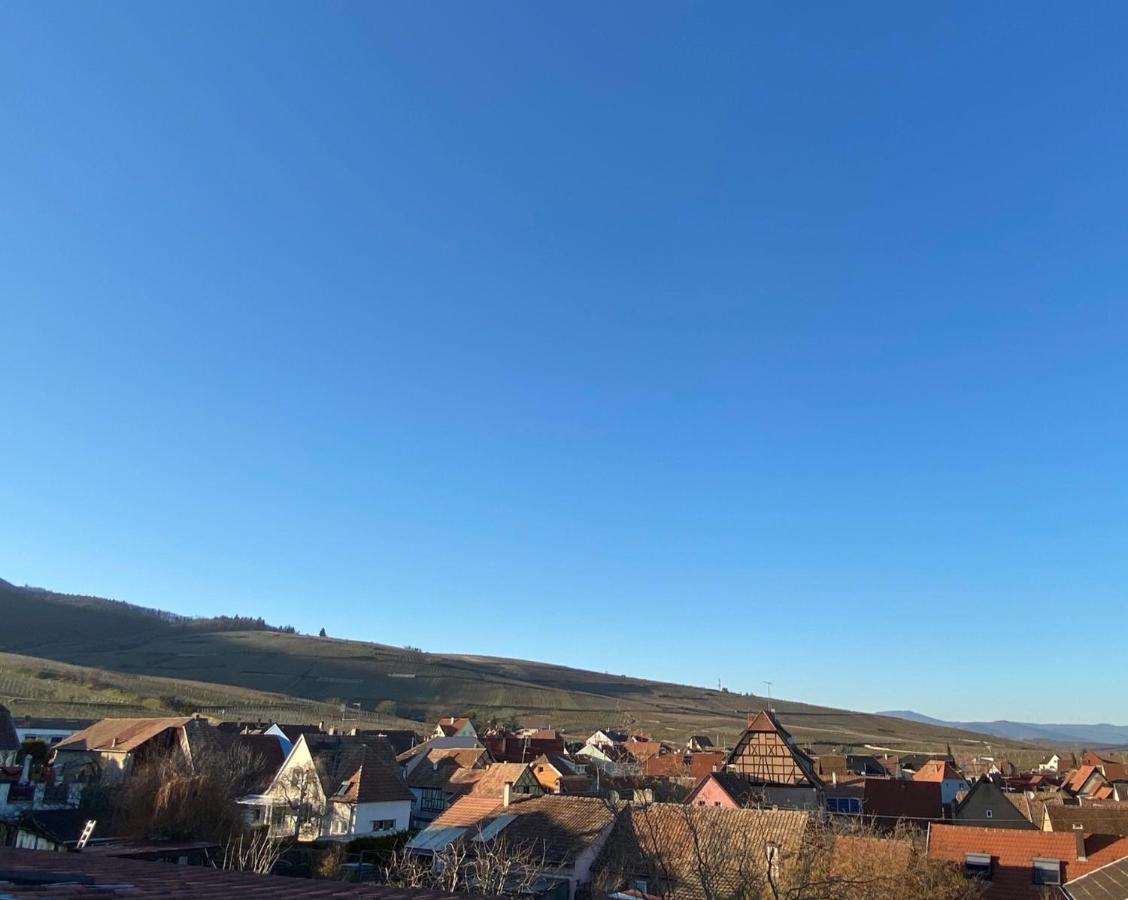 Duplex Le 12 - Appartement Avec Terrasse Dans Le Vignoble - 5 Mn Du Centre De Colmar 韦托尔塞姆 外观 照片